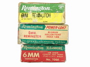 6mm Remington Ammunition Lot #4459